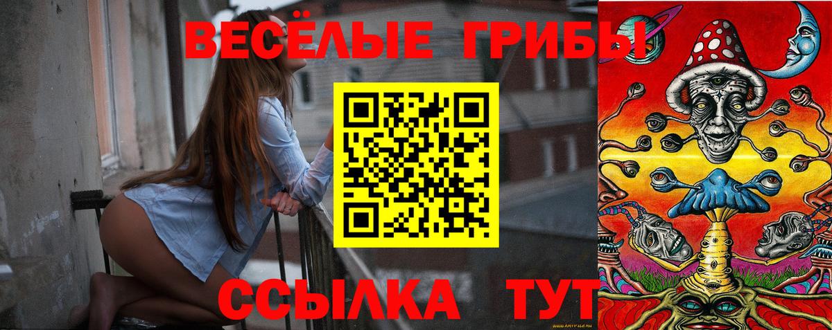 Татарск  Псилоцибиновые грибы Cubensis  Вход с VPN  Псилоцибиновые грибы мухоморы 