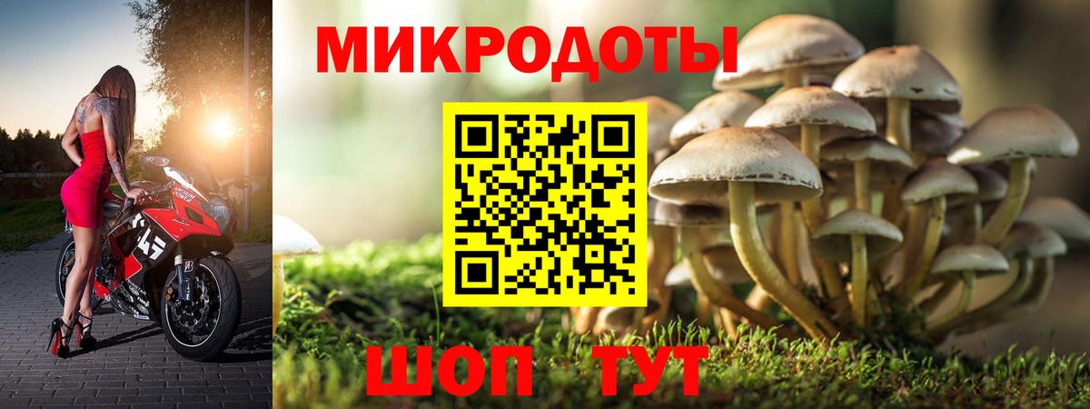Псилоцибиновые грибы мухоморы Татарск